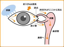 涙道閉塞