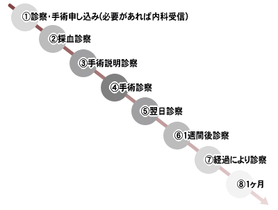 手術までのスケジュール